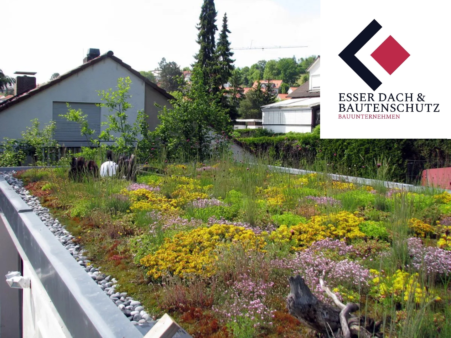 Dachbegrünung