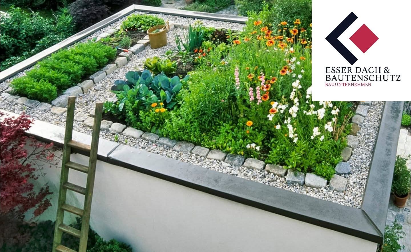 Fertig angelegte Dachbegrünung mit verschiedenen Pflanzenarten und natürlicher Gestaltung